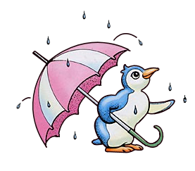 Pinguïn in de Regen.
